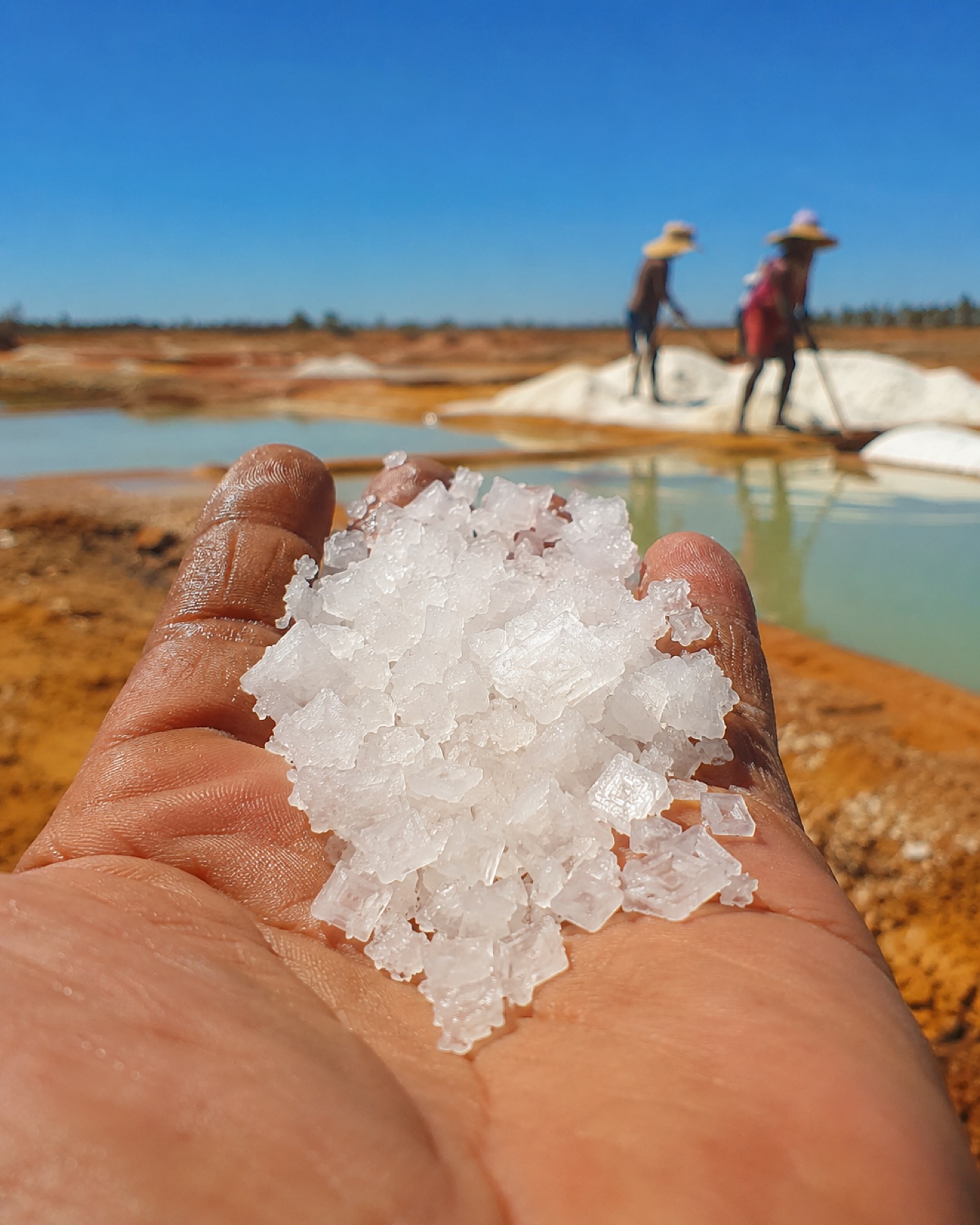 Fleur de sel SEMAPA tenue à la main